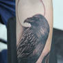 crow tattoo