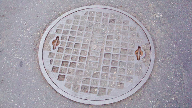 ManholeCoverInRoad