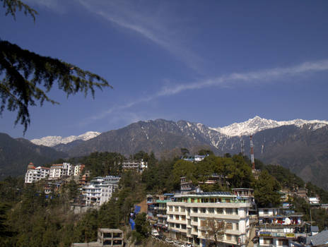 The magnificent Dhauladhar: view from the Temple