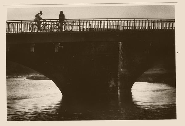 Sepia Toned Bridge