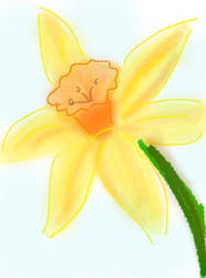 Daffodil