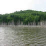 natural dam in romania