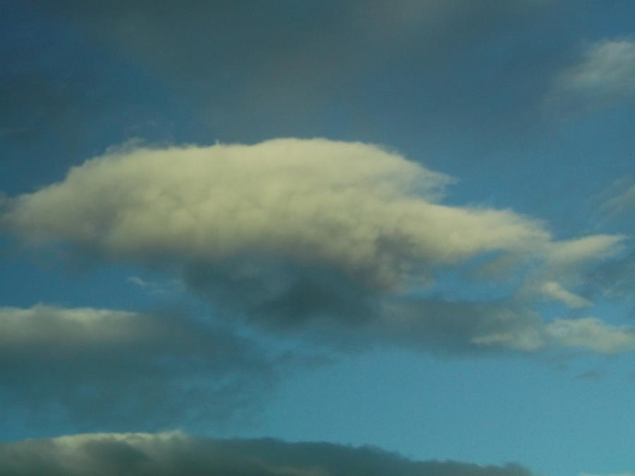 Crocodile Cloud