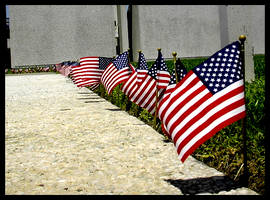 Veterans' Memorial V