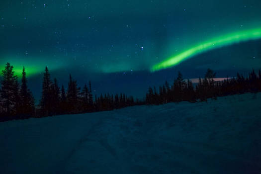 Northern Lights