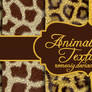 Animal Fur Texture