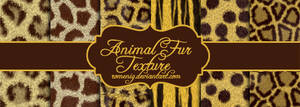 Animal Fur Texture