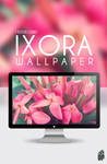 Beautiful Ixora Wallpaper