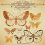 BEAUTIFUL BUTTERFLY FREE BRUSH SET