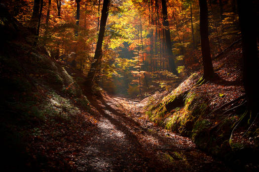 Landgrafenschlucht Thuringia 