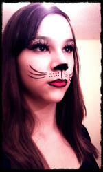 Cat Make Up