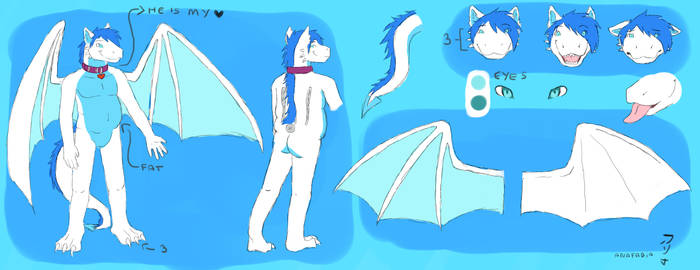 nilsaum reference sheet