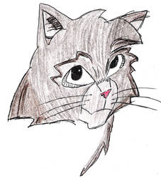 GreyStripe