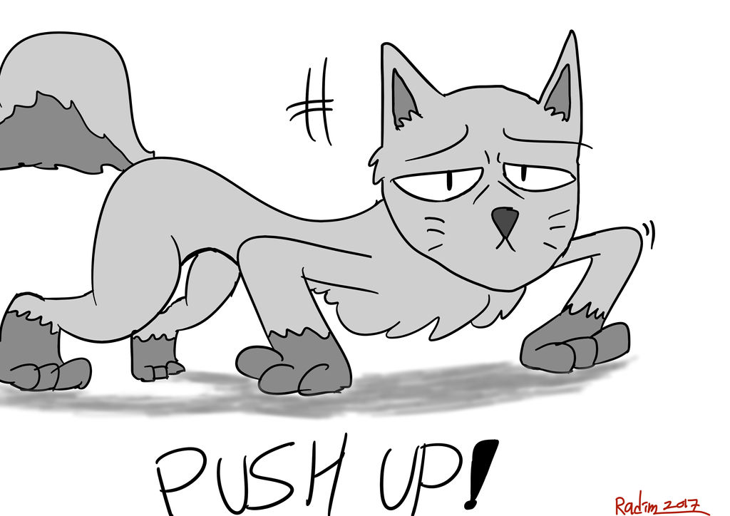 Cat doing push up