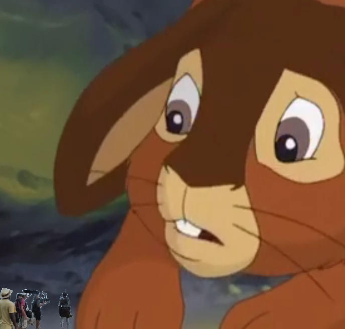 Giant Rabbit Animations To Capture a Giant Rabbit (On Film) by Hereward on DeviantArt