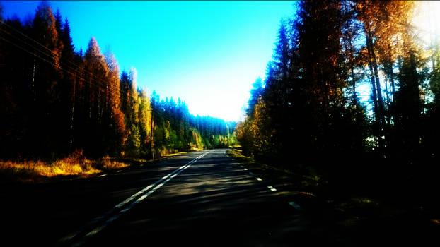 Autumn road