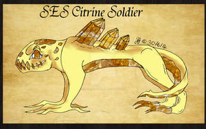 SES Citrine Soldier