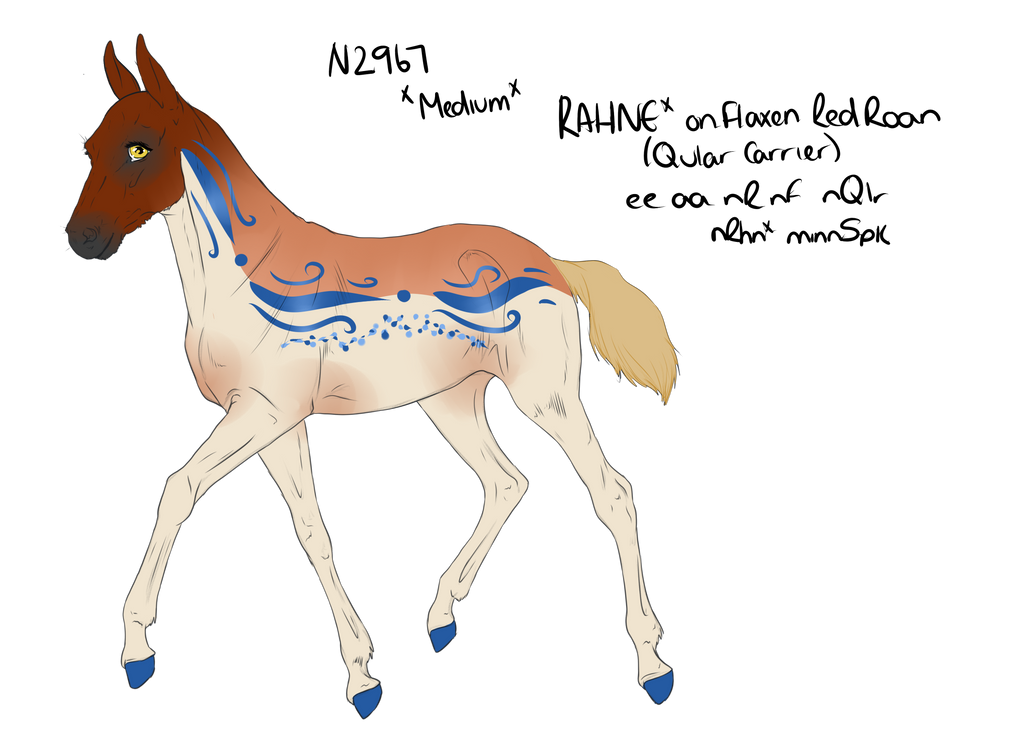 N2967 Padro Foal Design - MyLastAccount