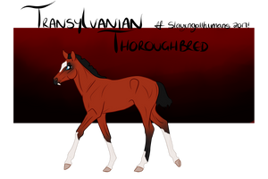 TTB Foal Design #101