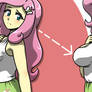 MLP: Flutter-Abstract