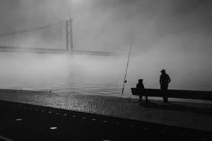 Misty Bridge