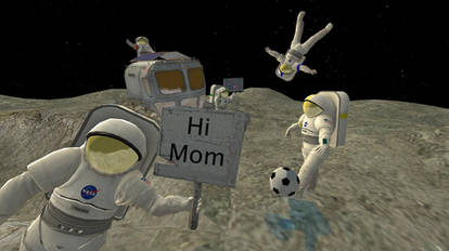 Meanwhile On the Moon