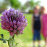 A Pink Flower with a Boy and a Girl Stock