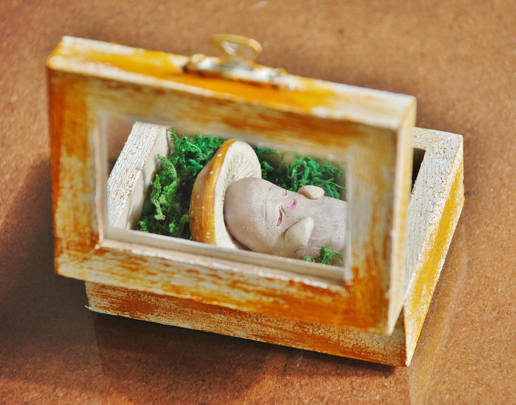Baby mushroom sleeping in a box