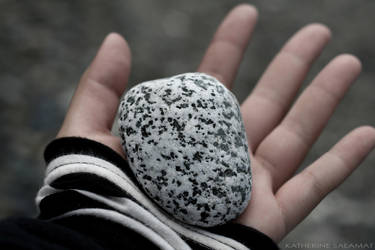 Pet Rock.