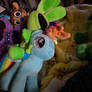 Hoppy riding rainbow dash