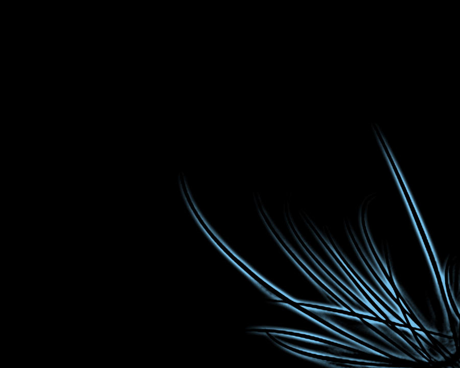 Desktop Background - Black by TheSunsetrider on DeviantArt