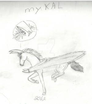 Mykal galloping