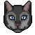 Cinderpelt icon