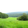 Meadow Collection: Distance 2