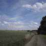 field collection: cart track