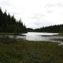 Water Collection: AutumnLake 1
