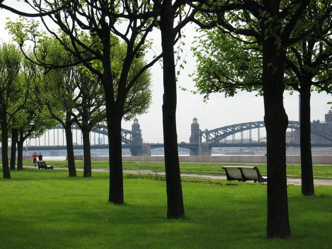 Green splendor nature by Setsuzura on DeviantArt