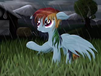 Rainbow Dash