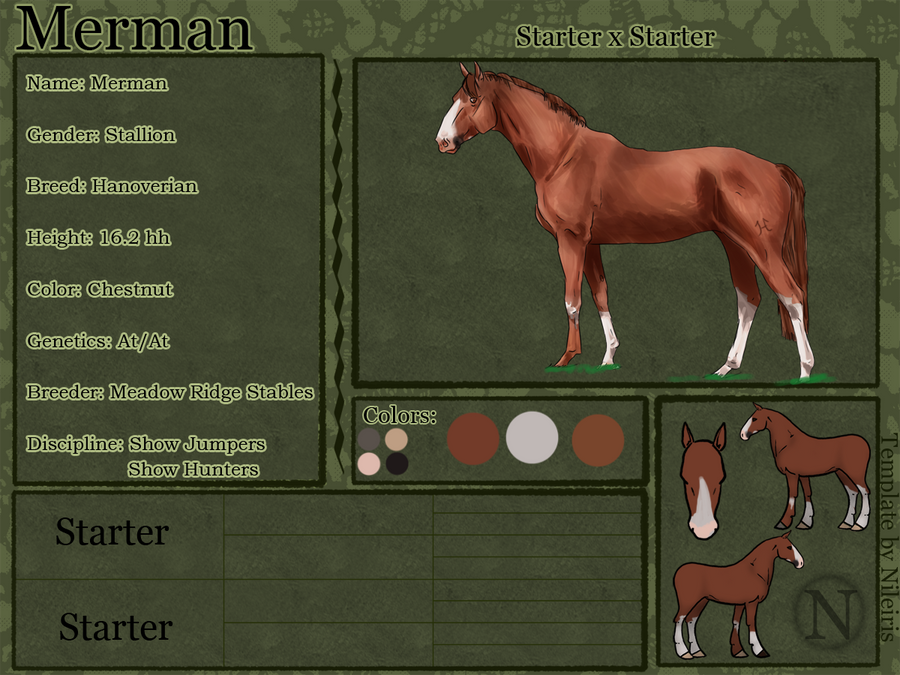 Merman Reference Sheet by catheetiem on DeviantArt