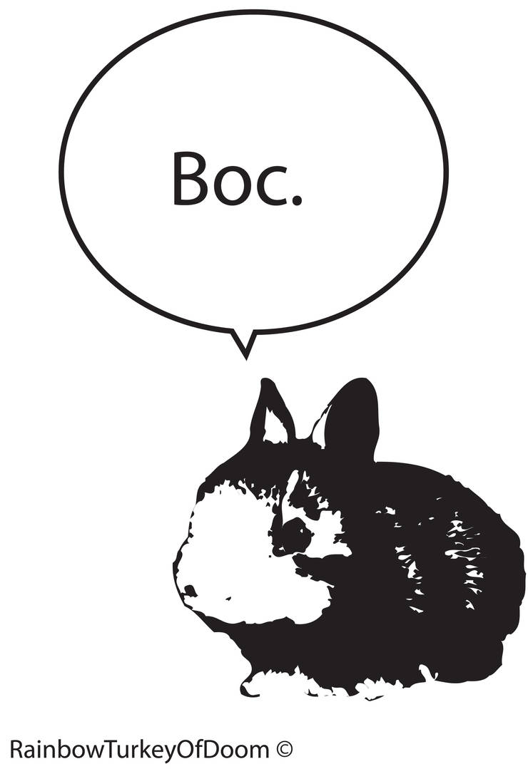 Double Dutch- Rabbit's Boc. by SkinandiEinn on DeviantArt