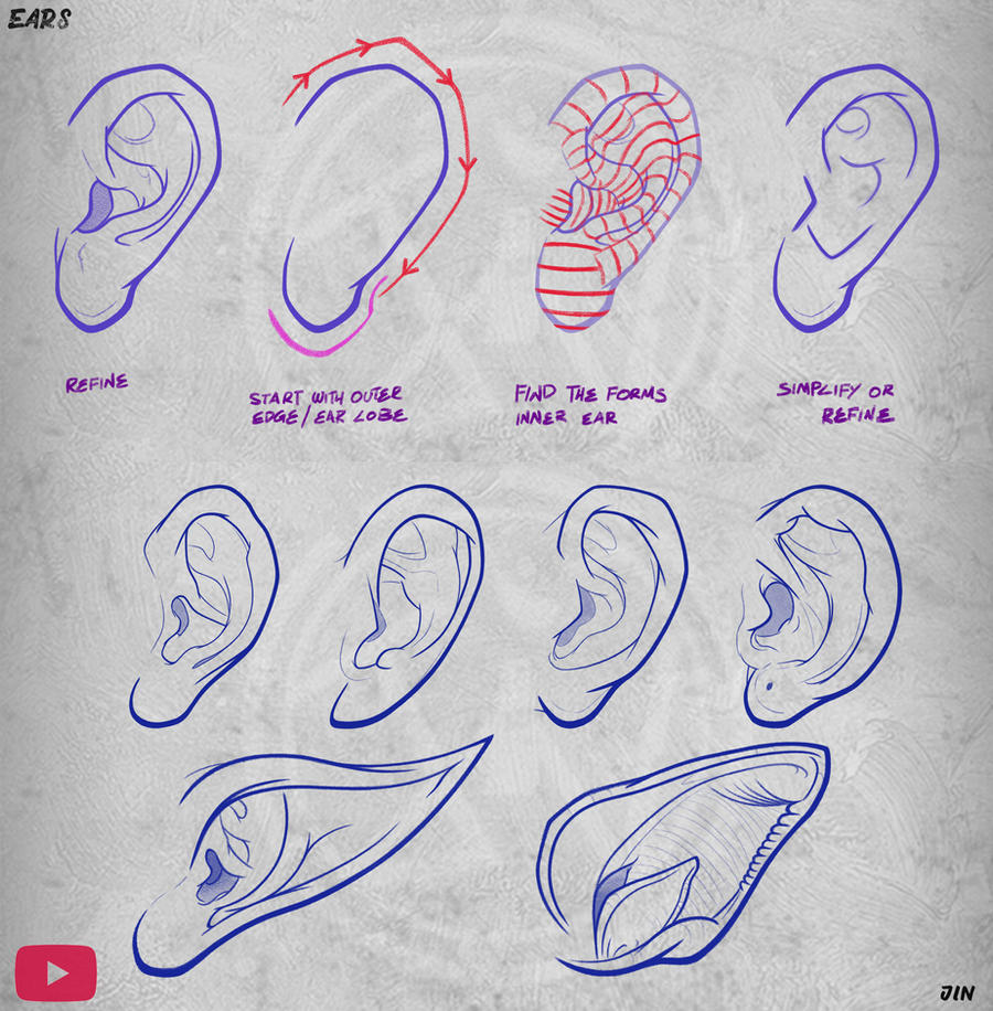 How To Draw The Ear Step By Step