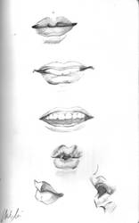 Study : Mouth