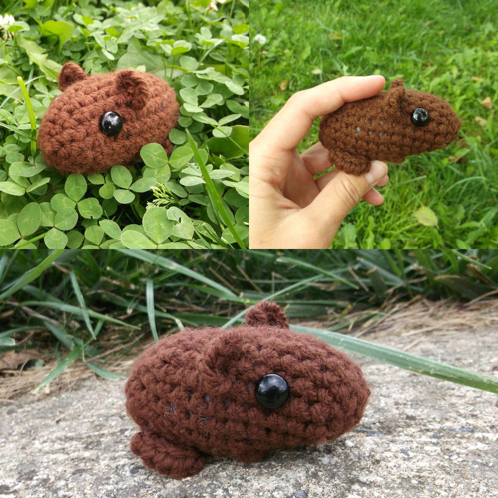 Crochet guinea-pig