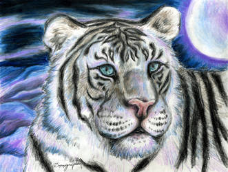 Tiger In The Moon Lit Sky