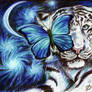 White Tiger and Butterfly