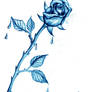 Blue Rose