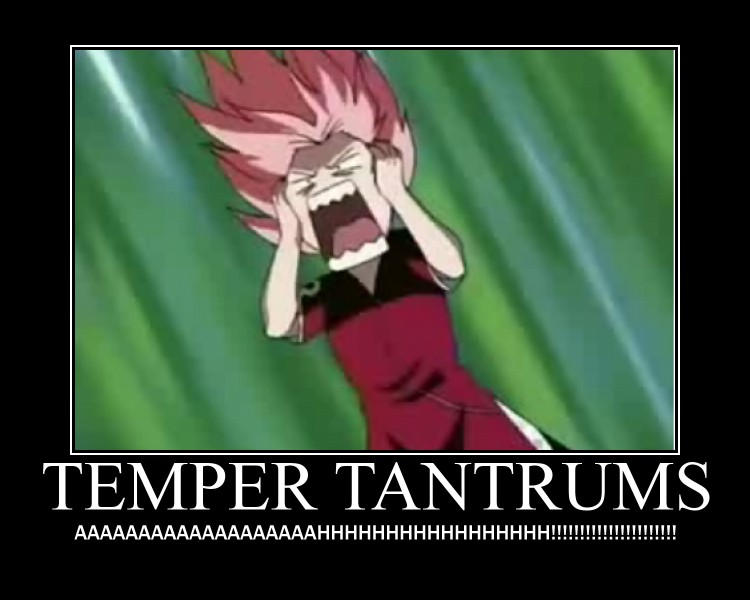 Deviantart Tantrum Temper Tantrums Motivator by egyptianpanda on DeviantArt