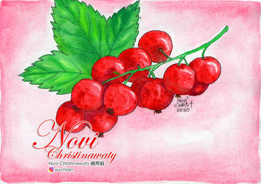 Watercolor - Red Currant