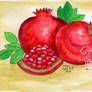 Watercolor - Pomegranate