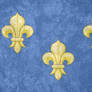 Kingdom of France ~ Grunge Flag (1328 - 1589)